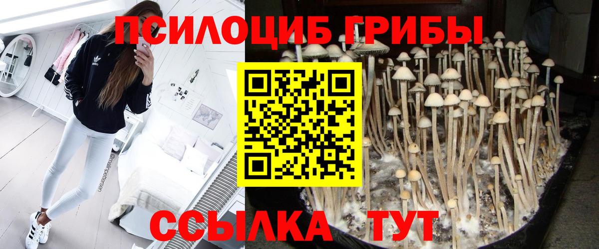 Псилоцибиновые грибы Magic Shrooms Каменск-Уральский